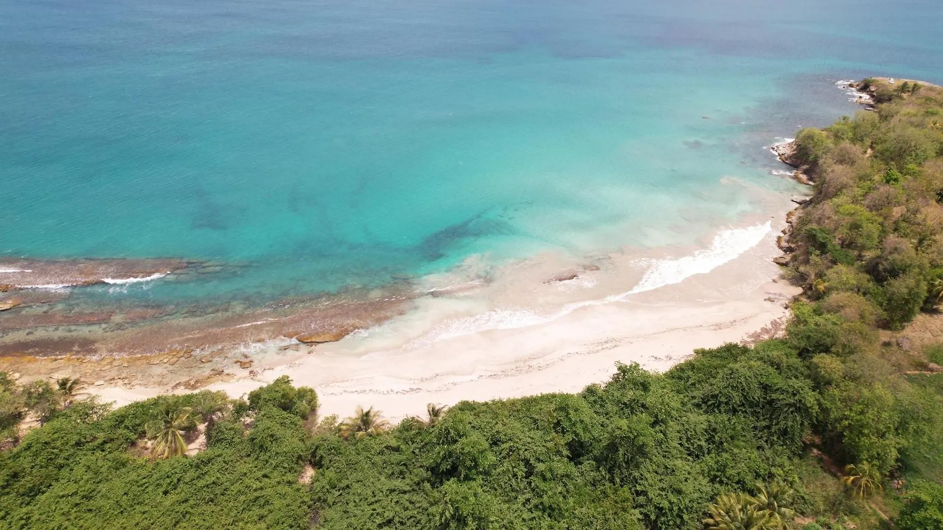 Domaine Simini Villa Chacha Sainte-Rose Bed & Breakfast