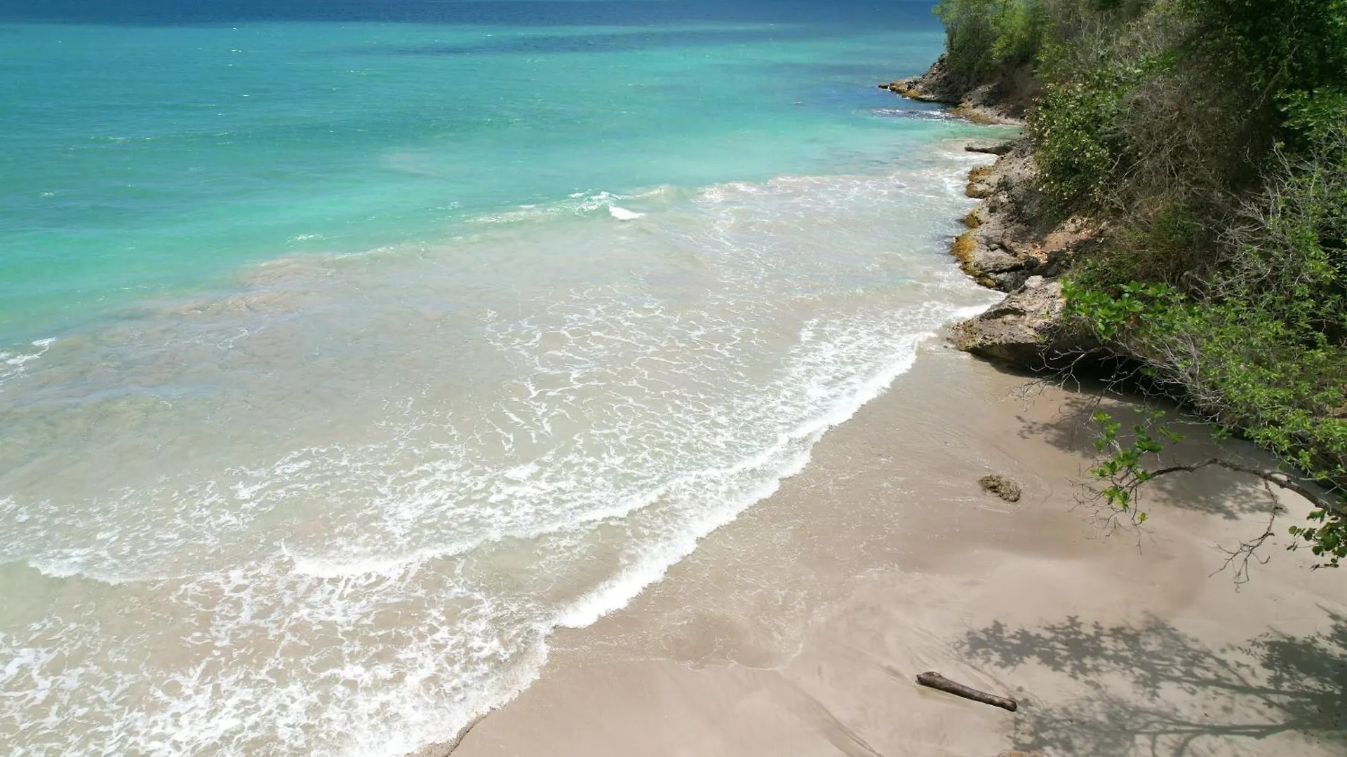Bed & Breakfast Domaine Simini Villa Chacha Sainte-Rose Guadeloupe